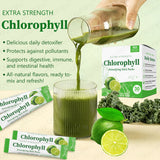 Chlorophyll Stick Pack Herbal Detox Supplement For Gut Health Super Green Powder Lime Flavor